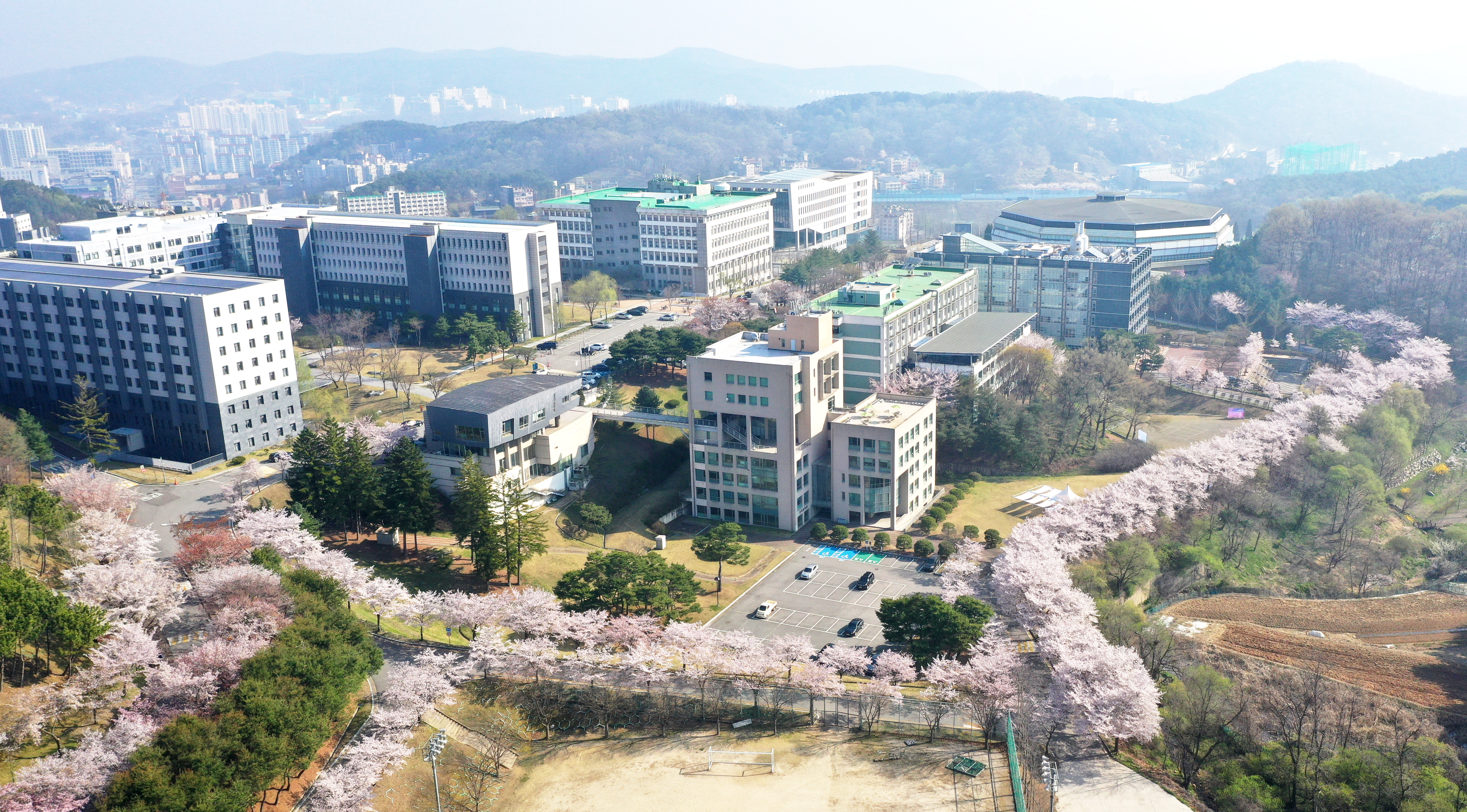 명지대학교 자연캠퍼스 총학생회, 2021학년도 벚꽃 이벤트 개최 첨부 이미지