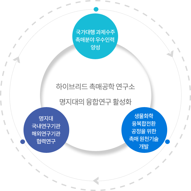 국가 대형 과제 수주 /
촉매분야 우수인력 양성 /
생물·화학 융·복합 전환 공정을 위한 촉매 원천기술 개발 /
명지대의 융합연구 활성화 /
명지대 ↔ 국내연구기관 ↔ 해외연구기관 협력연구 /