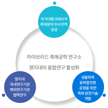 국가 대형 과제 수주 /
촉매분야 우수인력 양성 /
생물·화학 융·복합 전환 공정을 위한 촉매 원천기술 개발 /
명지대의 융합연구 활성화 /
명지대 ↔ 국내연구기관 ↔ 해외연구기관 협력연구 /