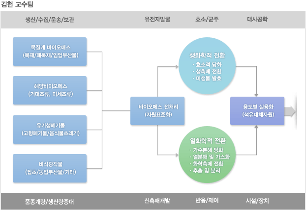 김헌교수팀